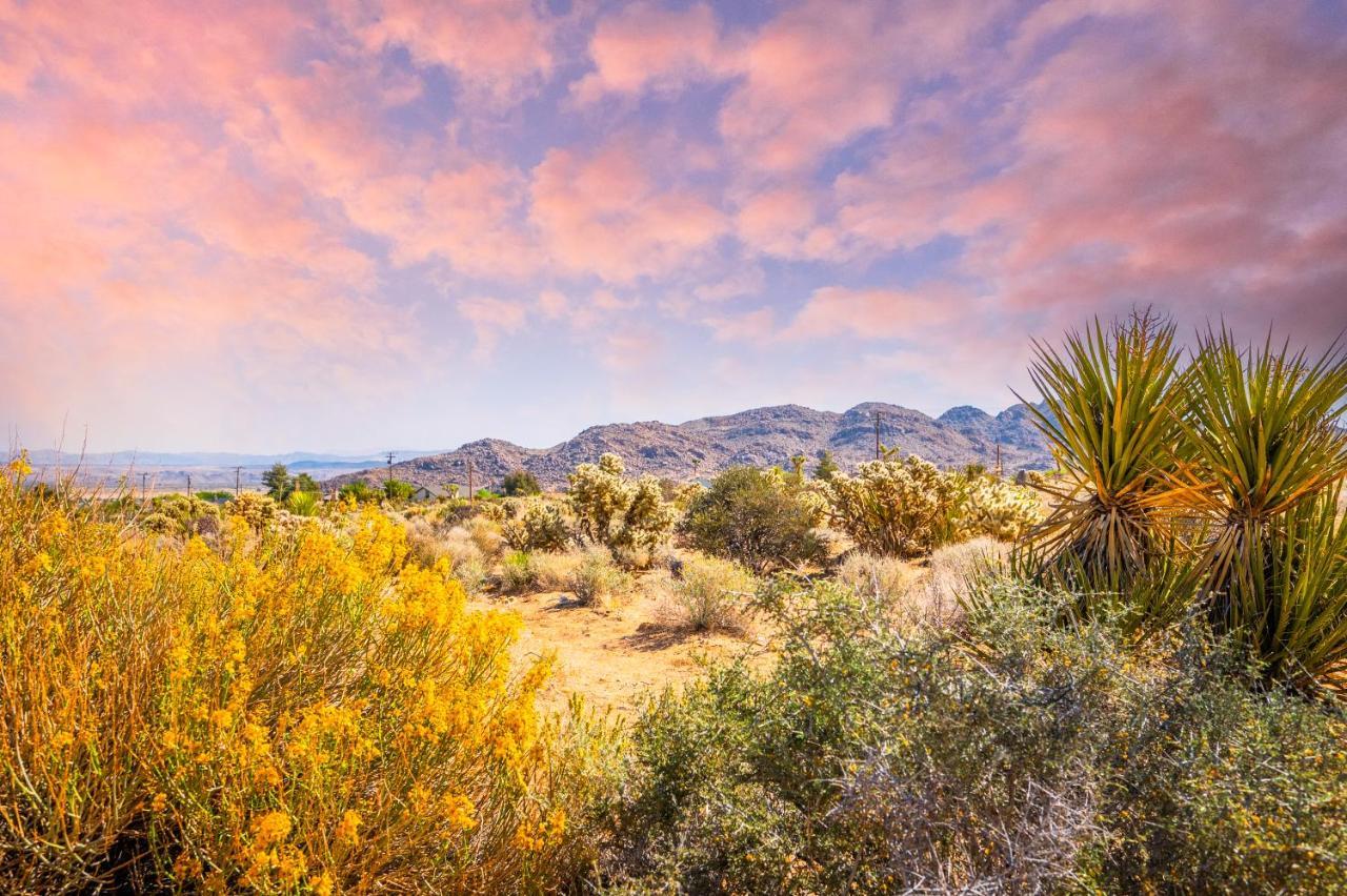 @ Marbella Lane - Modern Rustic Home In Jt Joshua Tree Exterior photo